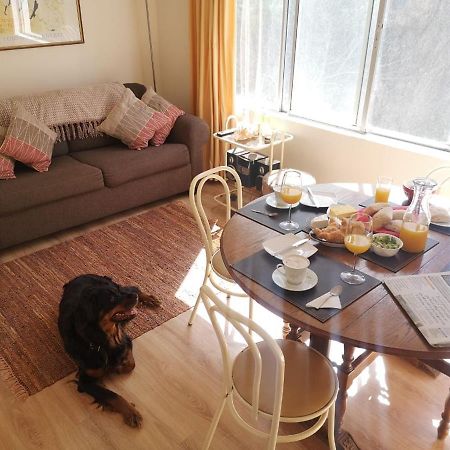 Playa Las Cadenas Pet Friendly Algarrobo Exterior foto