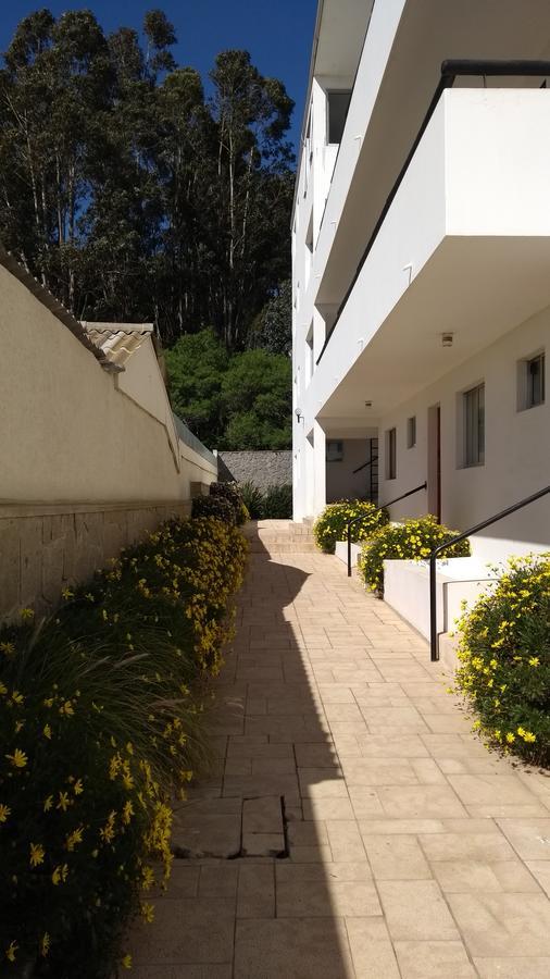 Playa Las Cadenas Pet Friendly Algarrobo Exterior foto