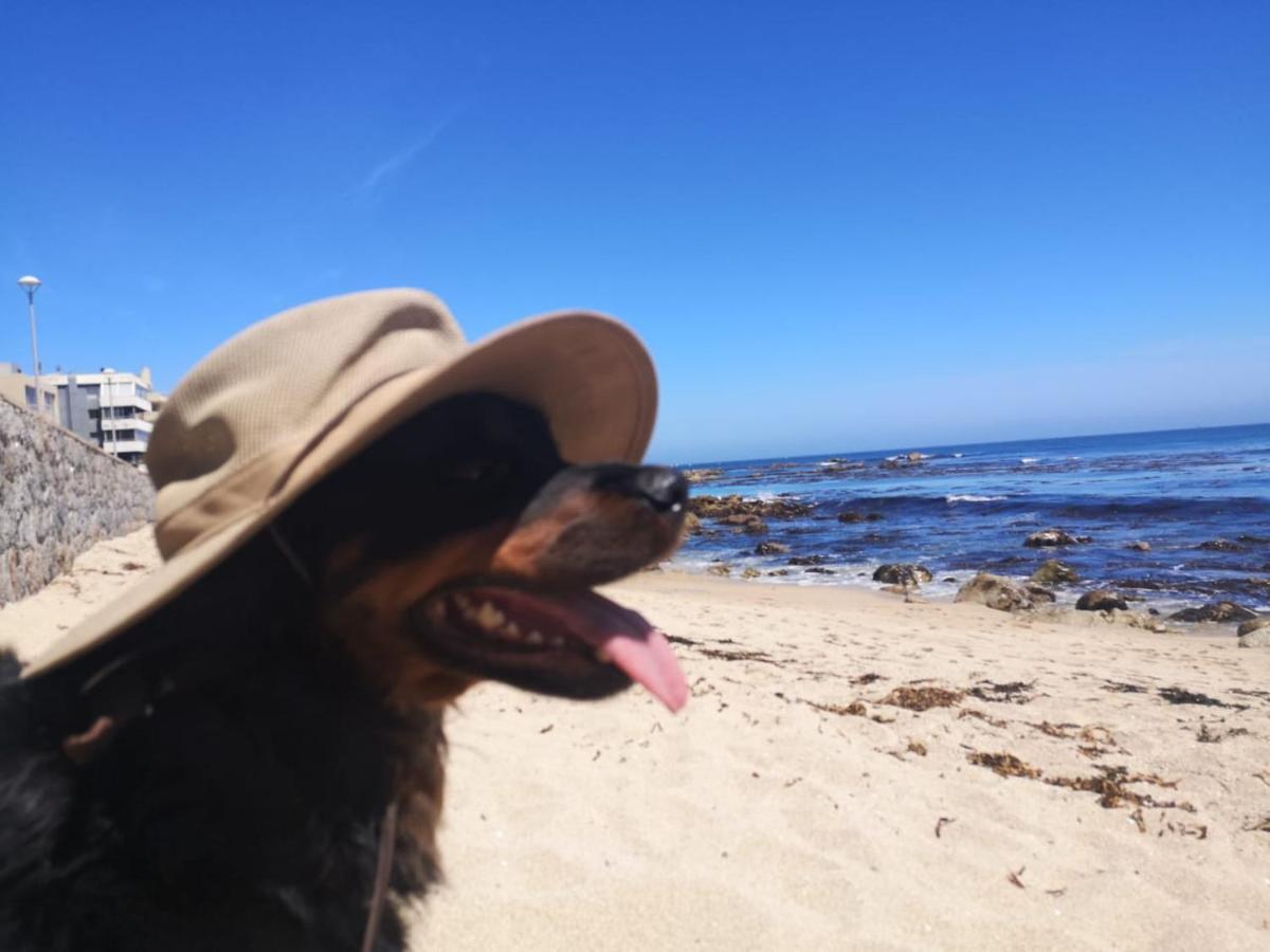 Playa Las Cadenas Pet Friendly Algarrobo Exterior foto